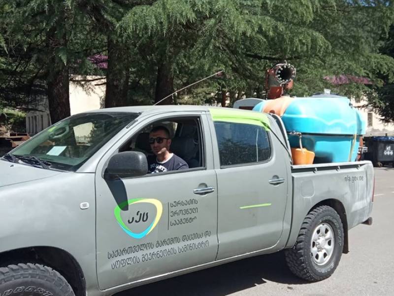 ცაგერის მუნიციპალიტეტში ფაროსანას საწინააღმდეგო შეწამვლის მეორე ეტაპი დაიწყო